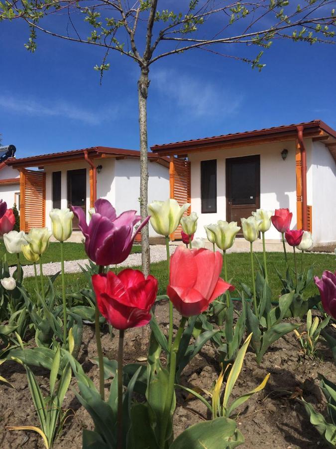 Casa Ivana Murighiol Zewnętrze zdjęcie