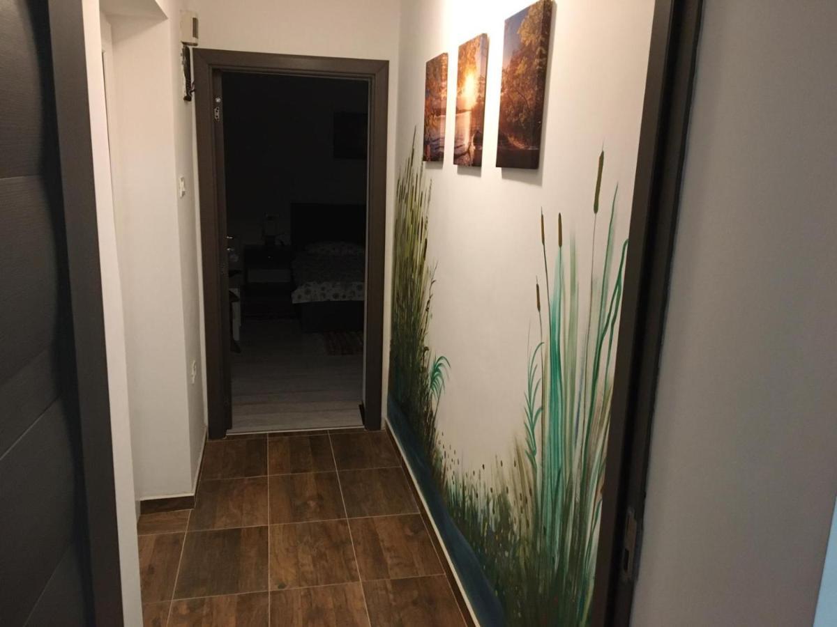 Casa Ivana Murighiol Zewnętrze zdjęcie