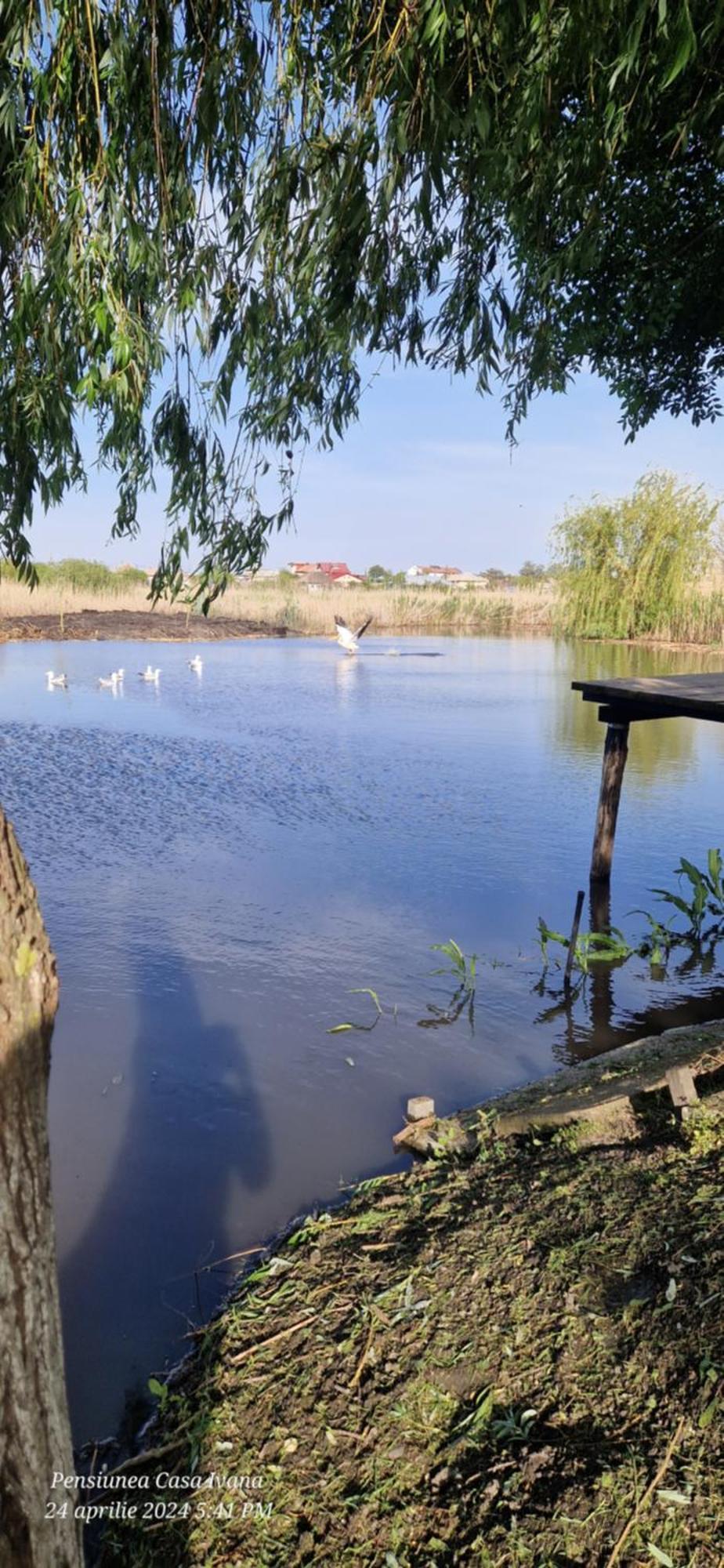Casa Ivana Murighiol Zewnętrze zdjęcie